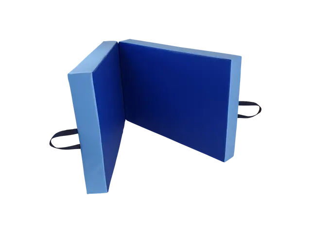 Two Part Folding Mattress 200 x 100 x 5 cm