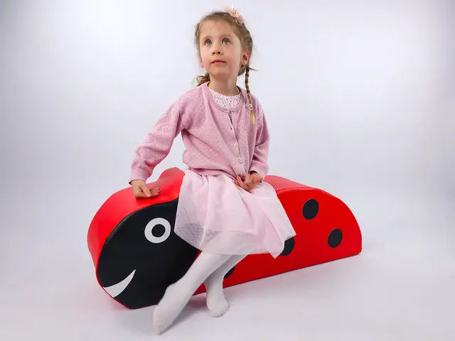 Ladybird Pouf