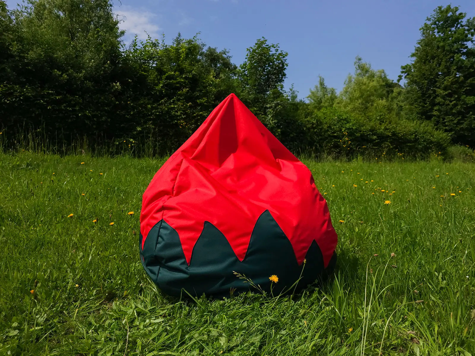 Strawberry Bean Bag – Large