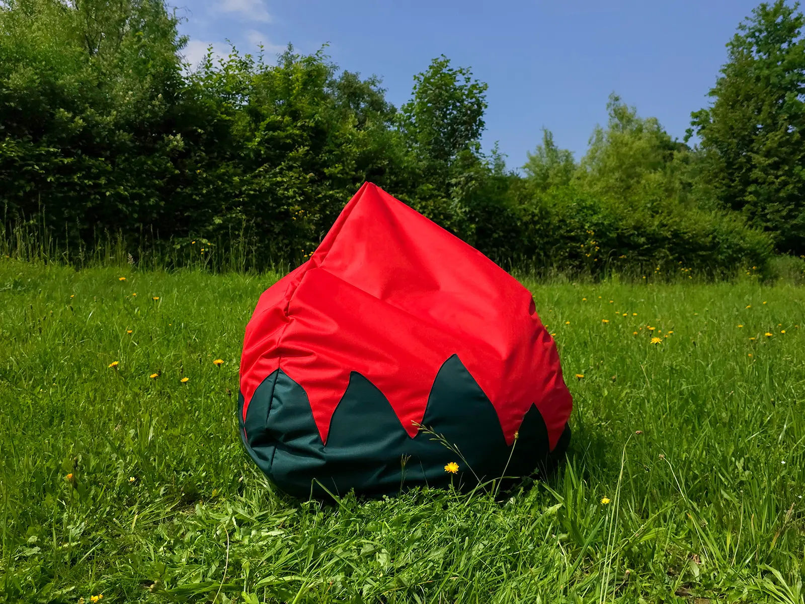 Strawberry Bean Bag – Large