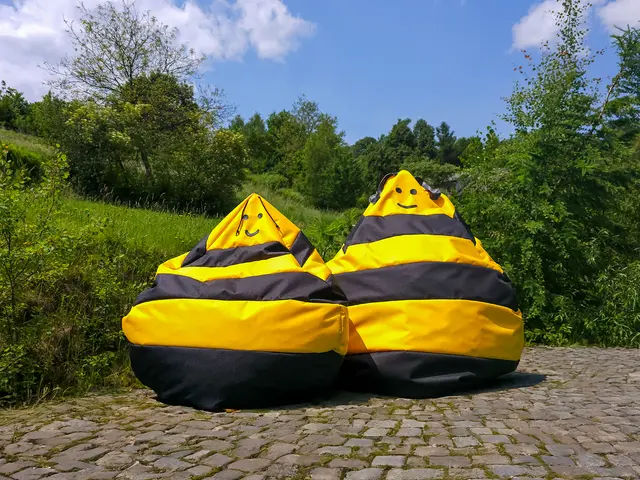Bee Bean Bag - Large