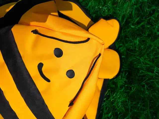 Bee Bean Bag - Large