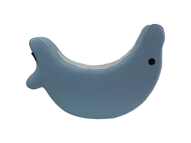 Foam Dolphin Rocker